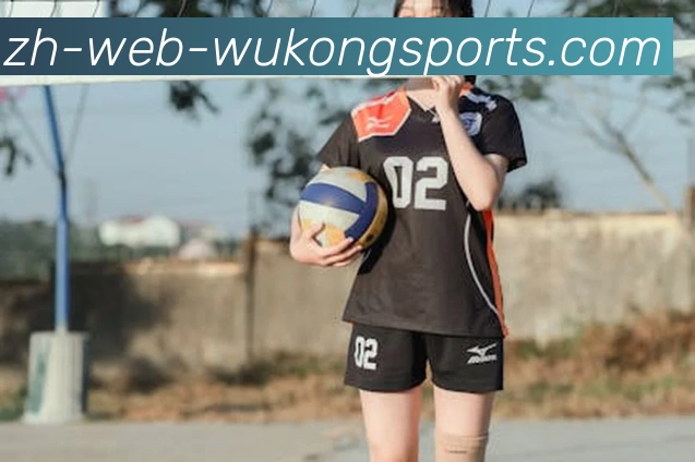 悟空体育APP 体育赛事宣传图